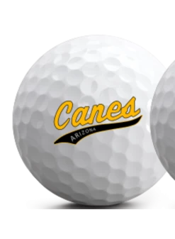 Vice Golf Pro Plus Ball - Canes (Dozen)